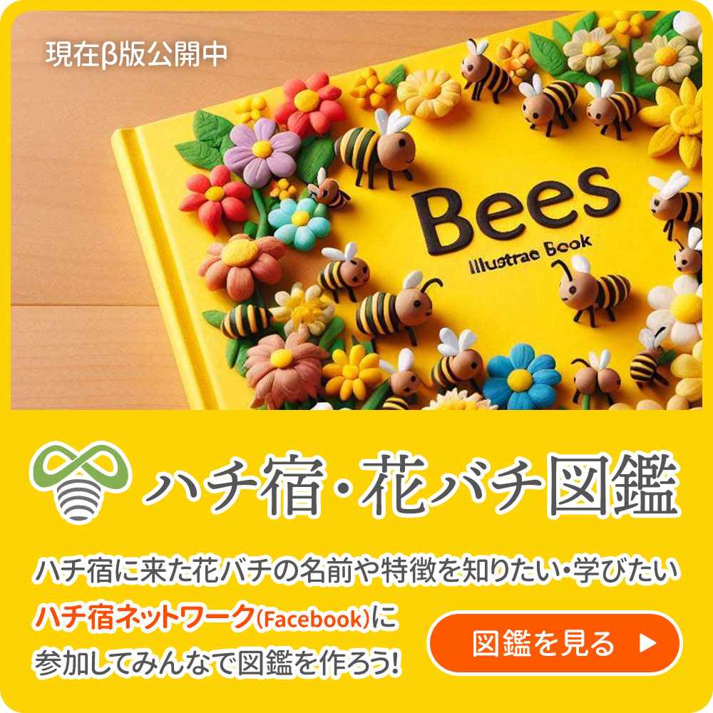 ハチ宿・花バチ図鑑