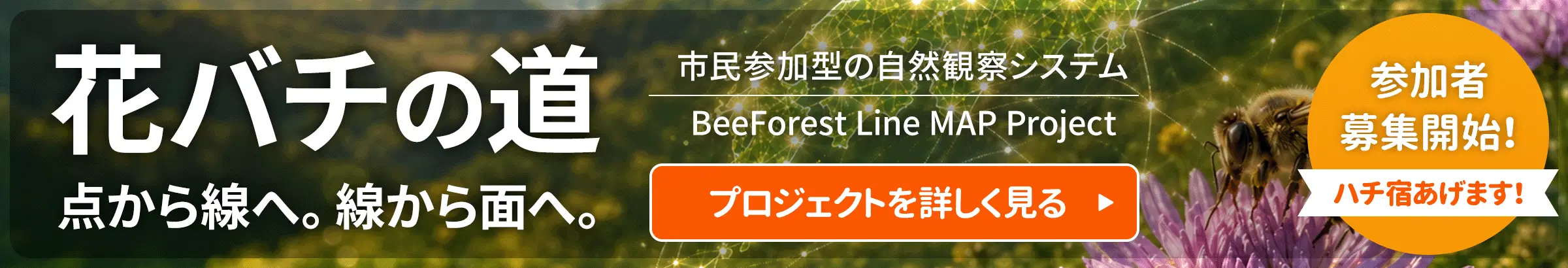 花バチの道　点から線へ。線から面へ。BeeForest Line MAP Project
